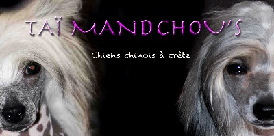 Taï Mandchou - NOUVEAU SITE